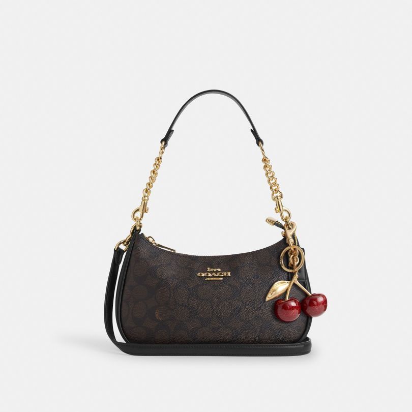Designer Bags TERI Shoulder Bags Crossbody Bags Underarm Bag Small Wallet Bag Handbags Women Half-moon